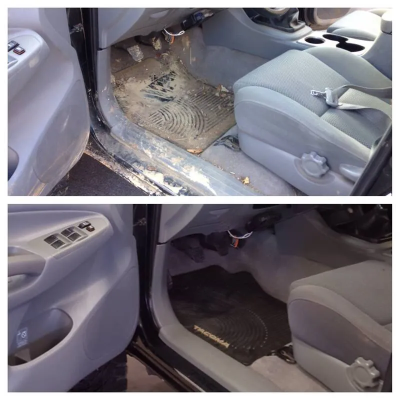 Car interior deep cleaning and conditioning